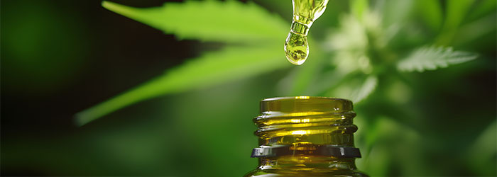 cbd douleurs neuropathiques avis